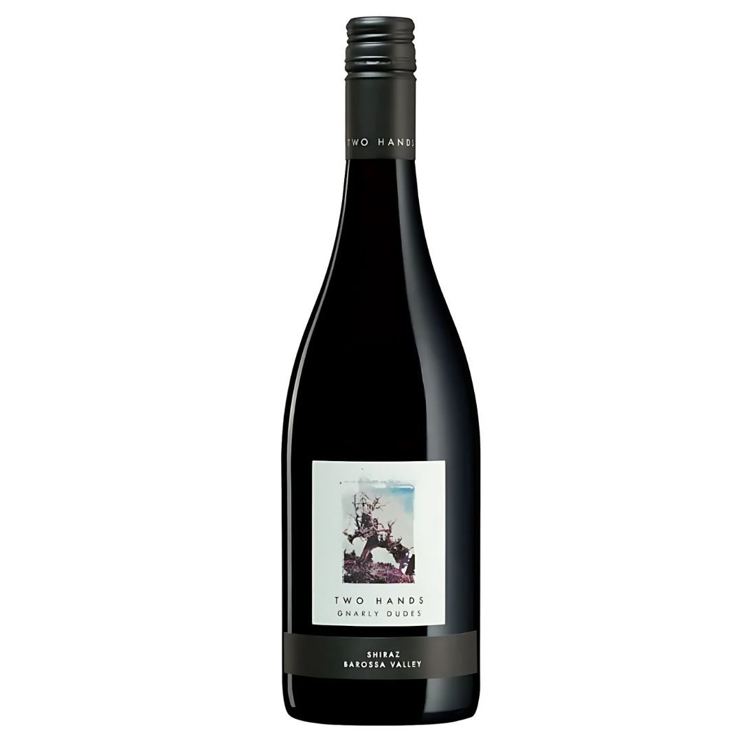 Two Hands Gnarly Dudes Shiraz 1.5L